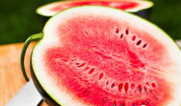 吃瓜网每日必吃,揭秘娱乐圈最新热点，带你畅游八卦海洋