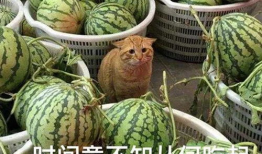 网暴的吃瓜视频,揭秘吃瓜视频背后的真相